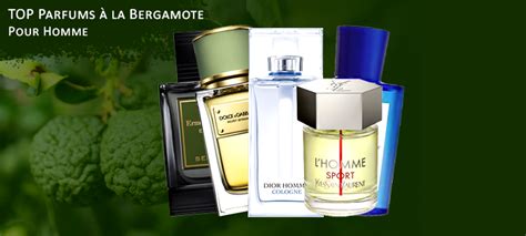 bergamote parfum homme